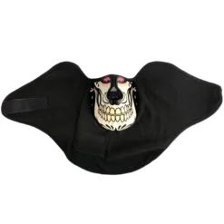 AE Mens Skull Sound Activated LED Mask
