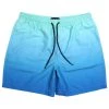 BJD Inc. Rainwater Party Shorts