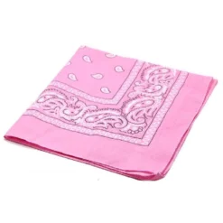 AE Basic Paisley Face Bandanna Mask