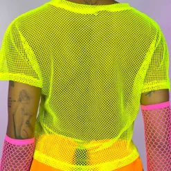 Bear Dance New Basic Fishnet Crop Tee
