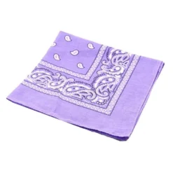 AE Basic Paisley Face Bandanna Mask