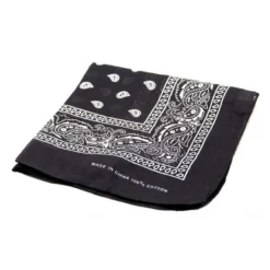 AE Basic Paisley Face Bandanna Mask