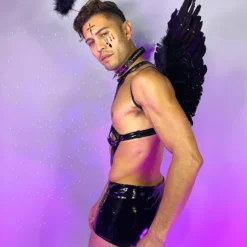 Roma Vinyl Dark Angel Men's Costume