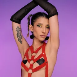 Daisy's Corsets New Scarlet Ecstasy Stretchy Harness Top