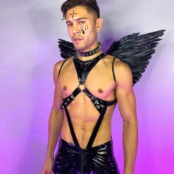 Roma Vinyl Dark Angel Men's Costume