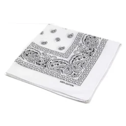 AE Basic Paisley Face Bandanna Mask