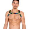 Roma Rainbow Love Chain Harness