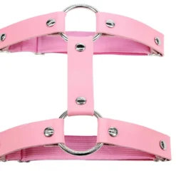 AE 1pc Miss Behaved Dual-Strap Faux Leather O-Ring Leg Garter Womens